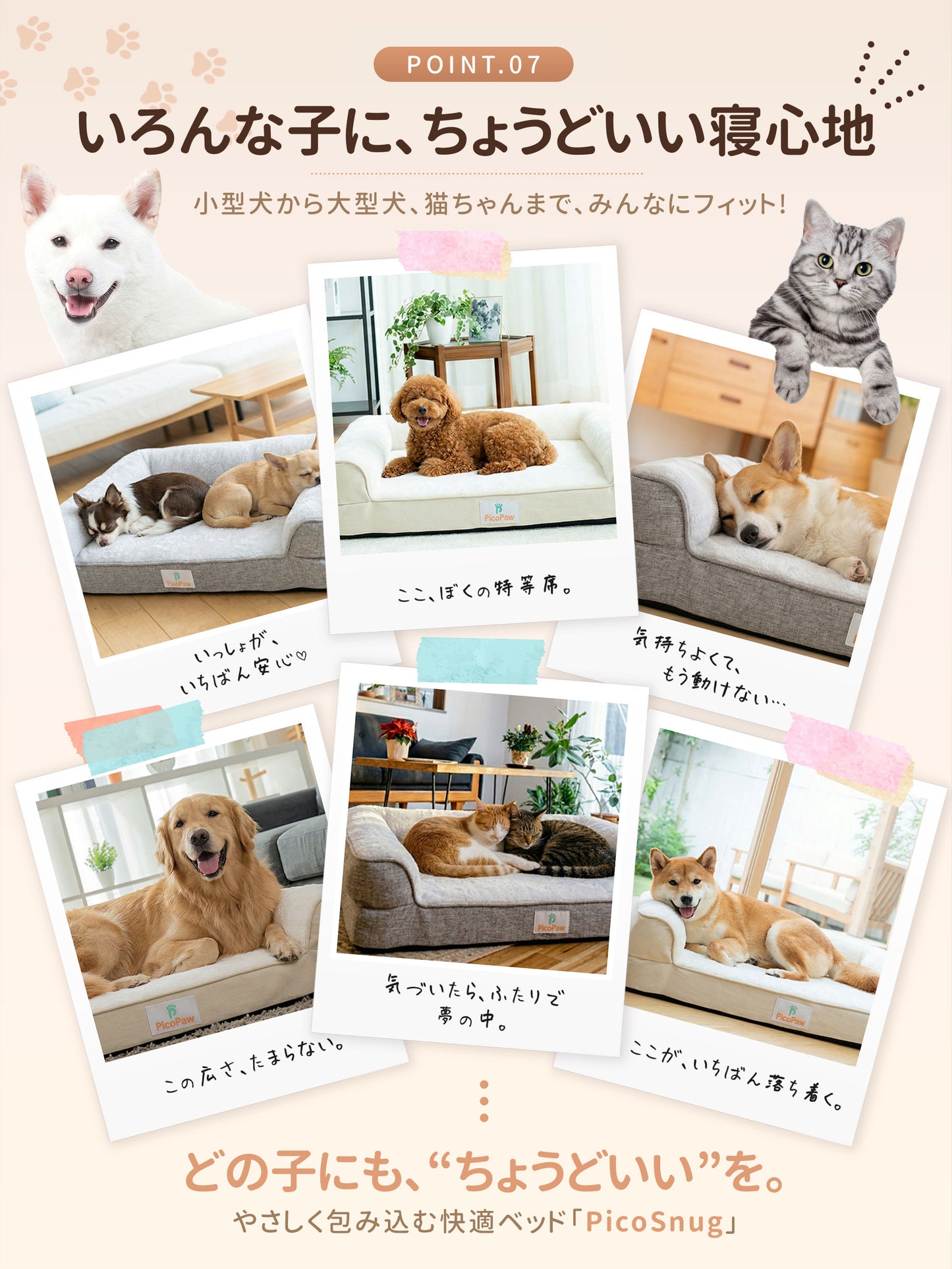 PicoSnug AeroRest｜ワンちゃんのための、人用マットレス品質
